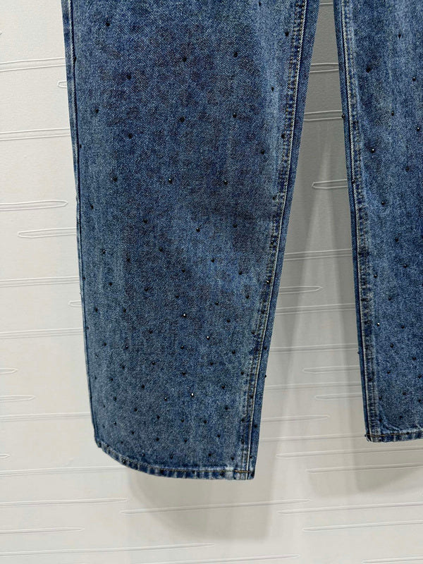 Dior Ombre Leopard & Crystal Stud Denim Jeans