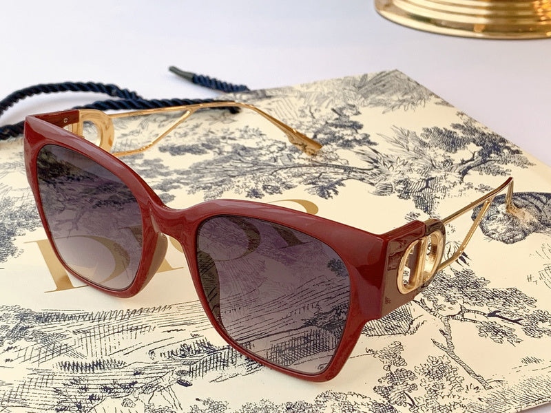 Dior Classic Sunglasses