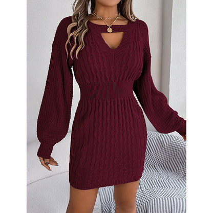 Ladies Bodycon Mini Fall Dress