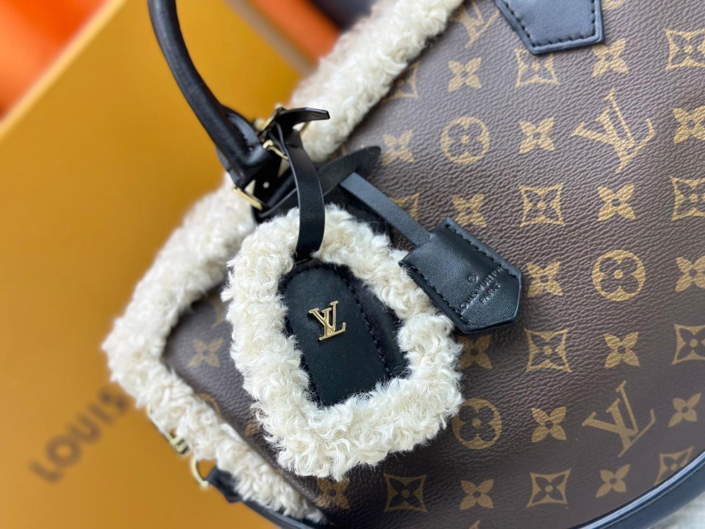 Luxury Speedy Soft Bag
