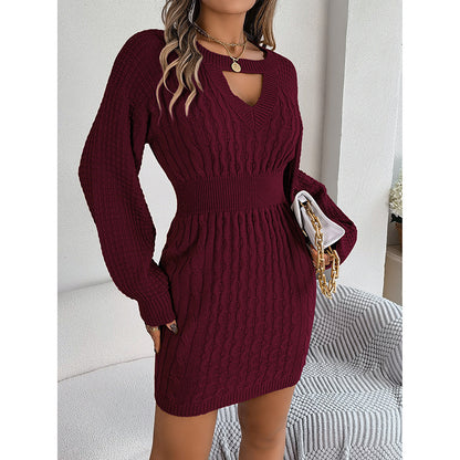 Ladies Bodycon Mini Fall Dress